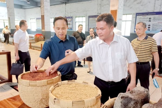 中小擔保領(lǐng)導(dǎo)赴區(qū)內(nèi)各地市開展“雙過半”督導(dǎo)